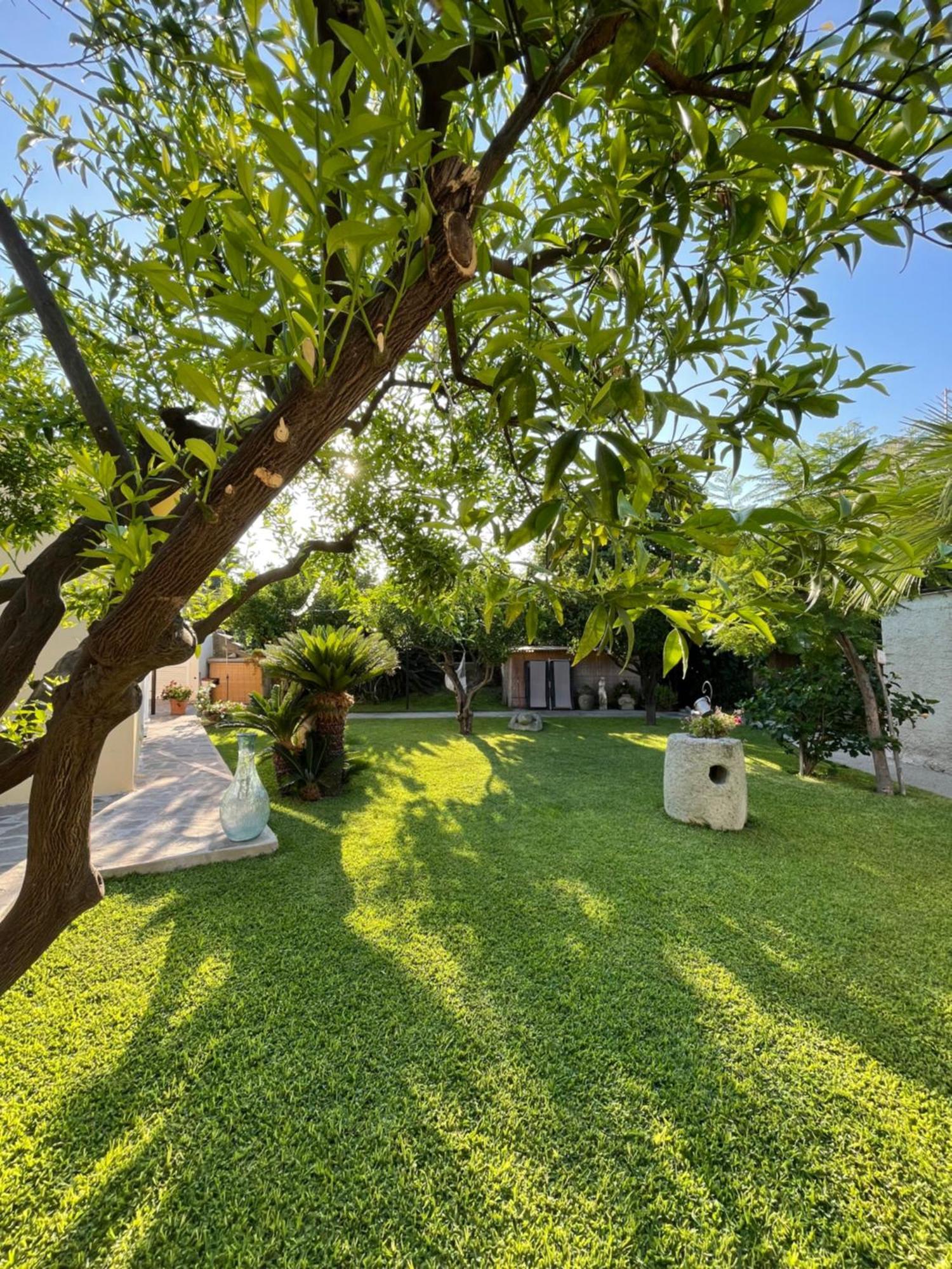 Garden Apartments Ischia Super Centrale Forio di Ischia Exteriér fotografie