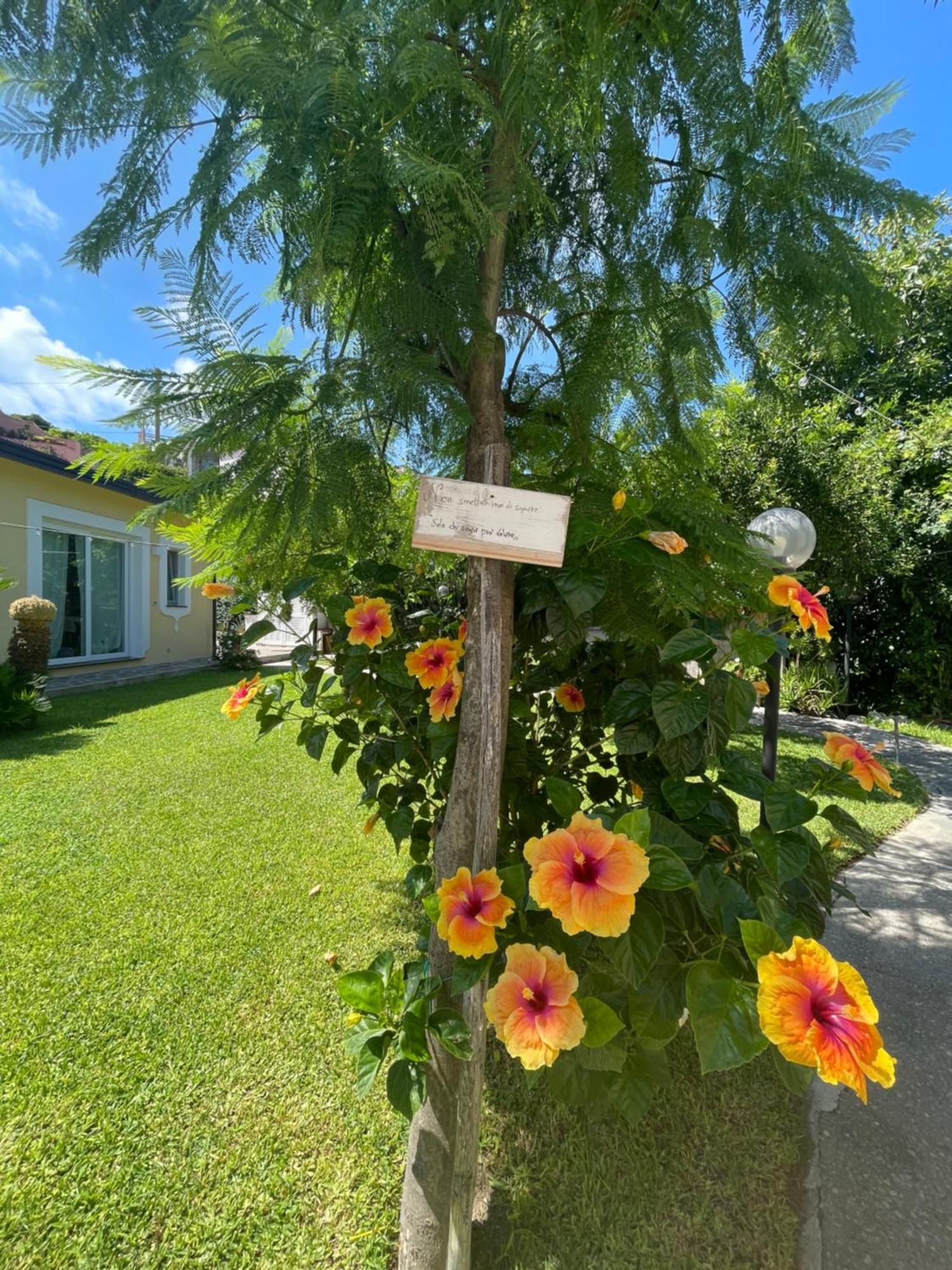 Garden Apartments Ischia Super Centrale Forio di Ischia Exteriér fotografie